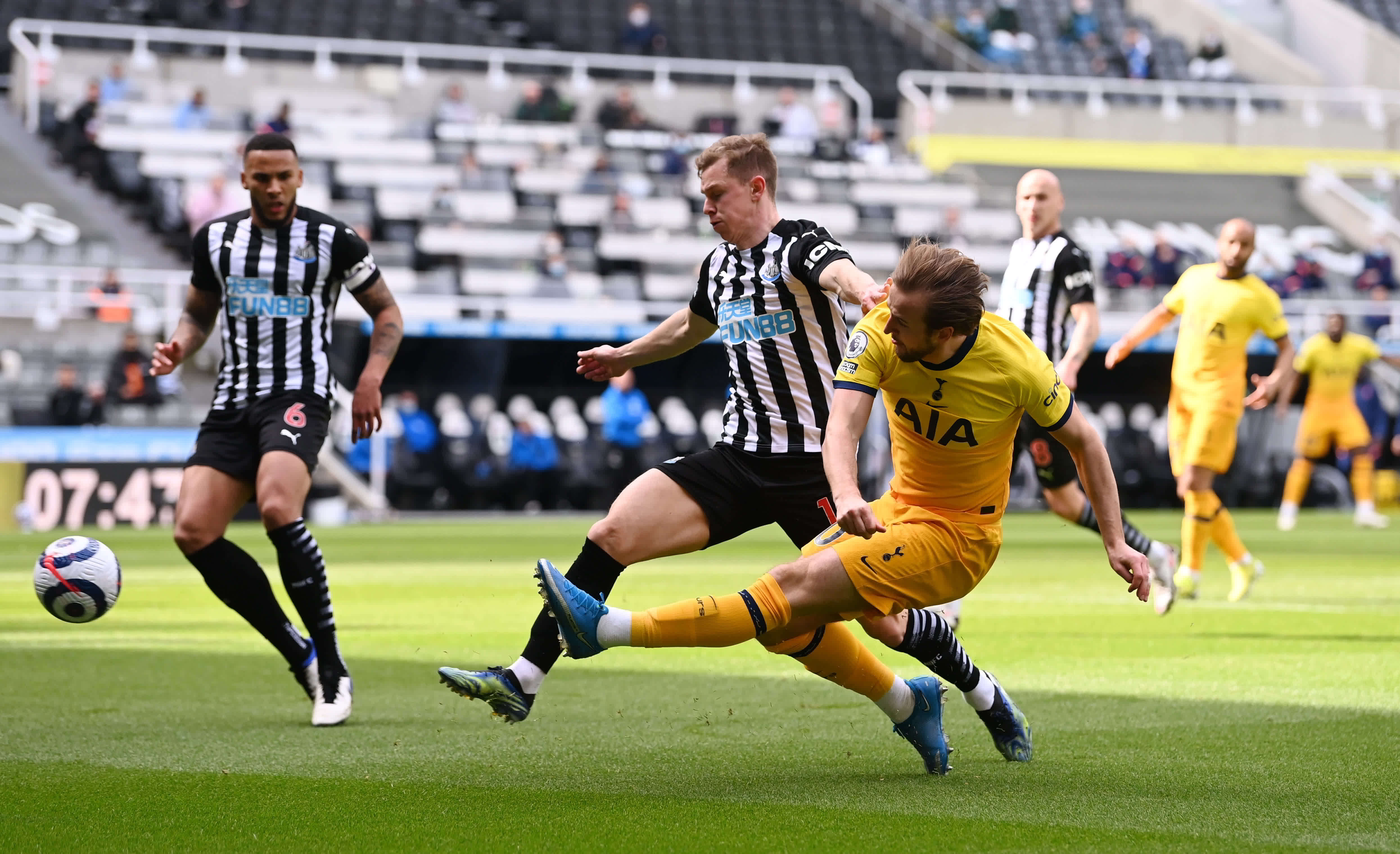 動愛好者 動愛好者